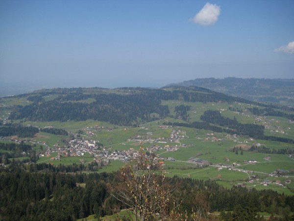 IMG_3687.jpg